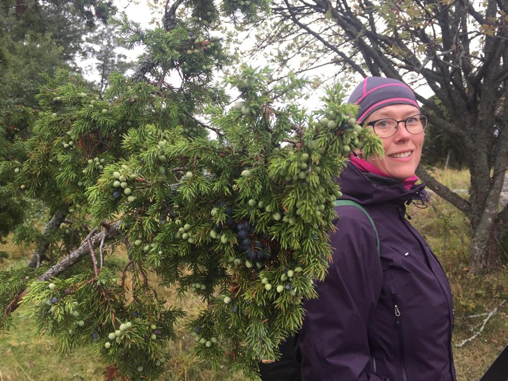 Kirjoituspolun yksilöohjaus